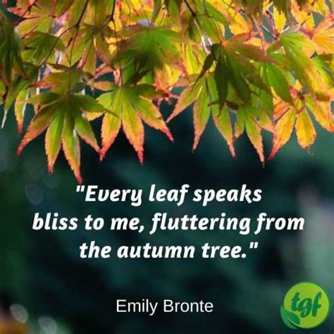 Every Leaf Speaks Bliss To Me Fluttering From The Autumn Garden