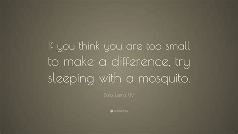 In order to become prosperous, a person must if you think you are too small to make a difference, try sleeping with a mosquito. when you realize you've made a mistake, take immediate steps to correct it. Dalai Lama XIV Quote: "If you think you are too small to make a difference, try sleeping with a ...