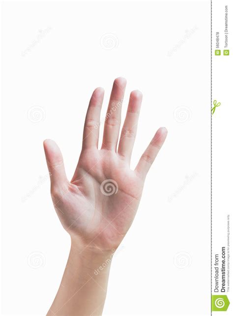 Isolated Woman Hand Shows The Number Five Stock Photo Image Of Sign