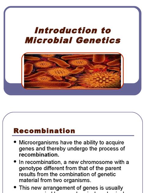 Introduction To Microbial Genetics Pdf Bacteriophage Plasmid