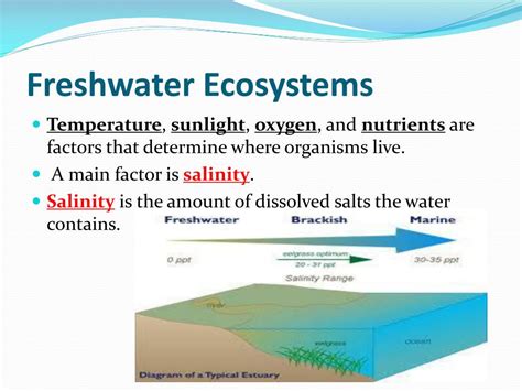 Ppt Aquatic Ecosystems Powerpoint Presentation Free Download Id