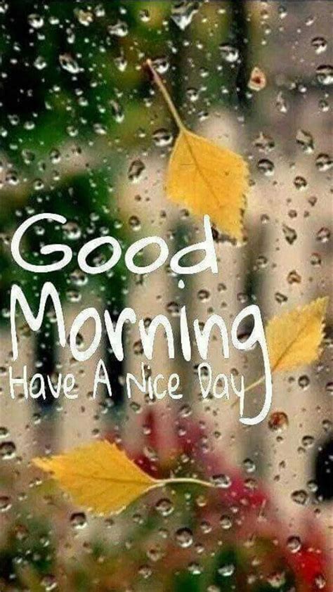 September 12, 2019 may 21, 2020. Rainy Morning Wishes. 31 Perfect Good Morning Wishes For A ...