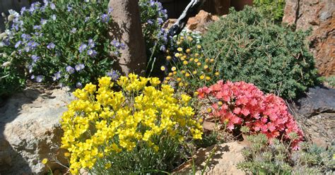 Master Gardener Designing Landscapes With Native Nevada Plants