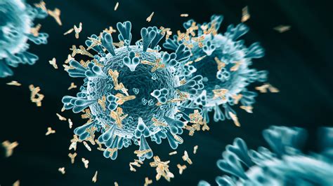 Covid 19 Disease Severity May Be Driven By Antibody Responses