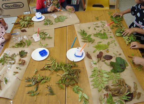 Fall Nature Activities For Preschoolers Teaching Treasure