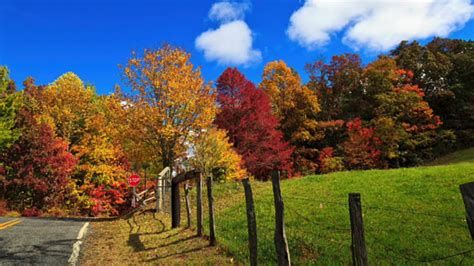 Top 10 Fall Foliage New York State— Best Places To Visit Youtube