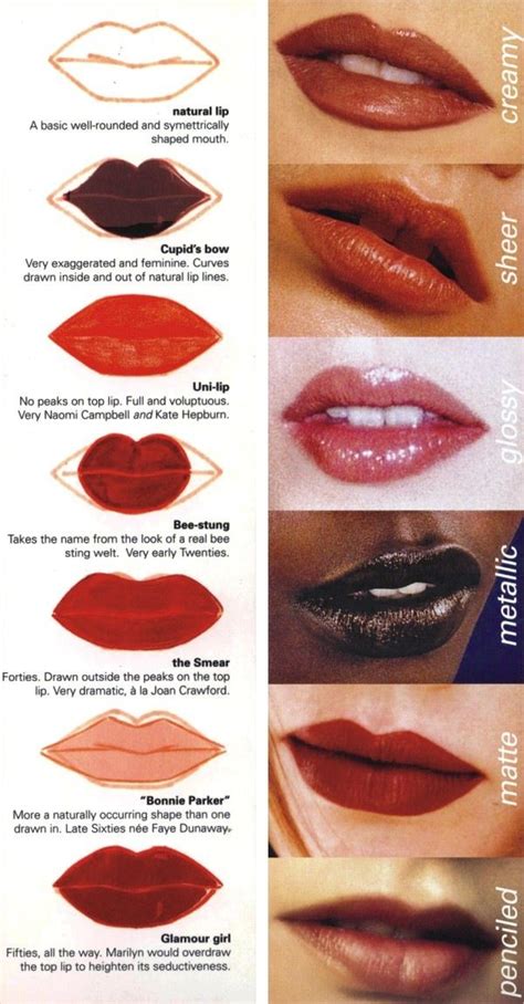 Here, we have a detailed article on types of lip shapes, specifically detailing the meaning and personality of people. Lip shapes | Lip shapes, Lip tips, Makeup tips