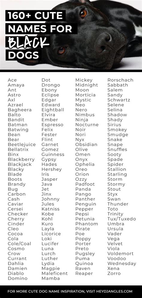 160 Cute Names For Black Dogs Artofit