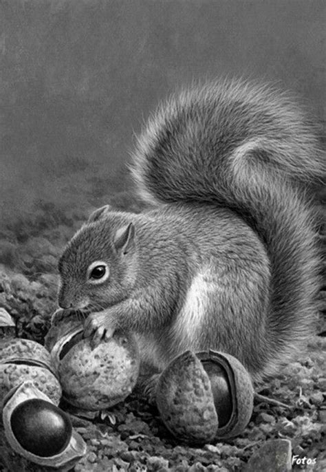 50 Easy Pencil Drawings Of Animals That Look So Realistic