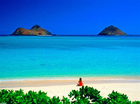 44 Free Hawaii Wallpaper Screensavers On Wallpapersafari