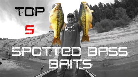 Top 5 Spotted Bass Baits Youtube