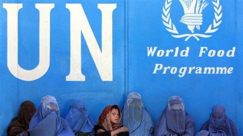 ممنوعیت کار زنان در دفاتر سازمان ملل توسط طالبان؛ آینده نامعلوم کمک‌های بشردوستانه به افغانستان