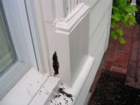 The tool has been around since windows vista sp1, but now it comes installed by default on windows 10 and. Window Rot Repair UPDATE | NC Woodworker
