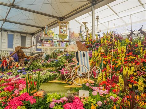 London Chelsea Flower Show Irá Acontecer Online Hypnotique