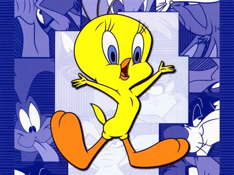 Free Download Tweety Bird Famous Cartoon 1024x768 For Your Desktop Mobile And Tablet Explore