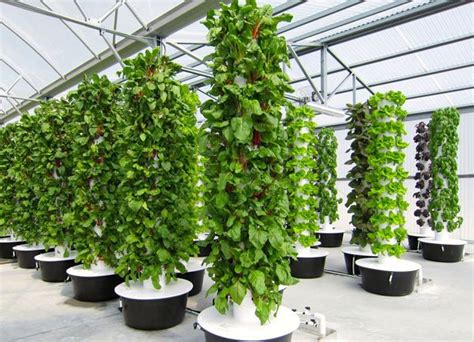 Vertical Hydroponic Tower System For Sale Design Production Lyine