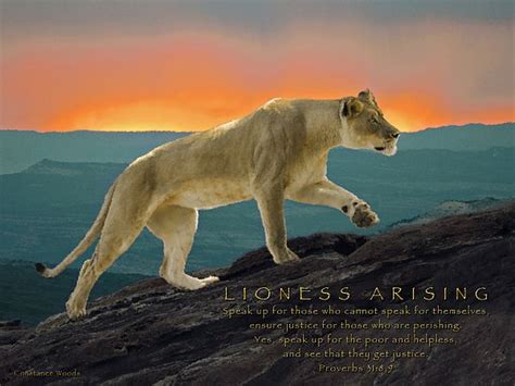 Lioness Arising By Constance Woods Lioness Prophetic Art Prophetic