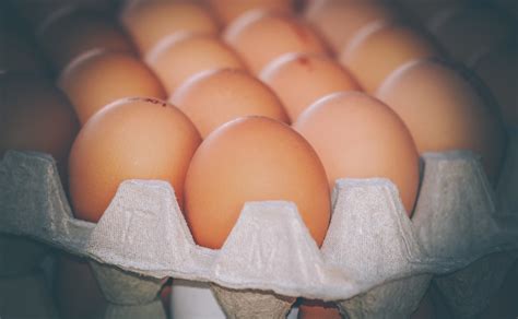 Wie lange sind Eier haltbar 3 Methoden Prüfen ob Eier noch gut sind