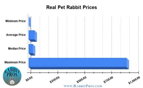 How Much Does A Pet Bunny Rabbit Cost Cost By Rabbit Breed Survey Data