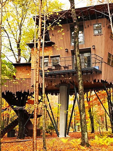 The Worlds Coolest Treehouse Hotels Stylight Stylight