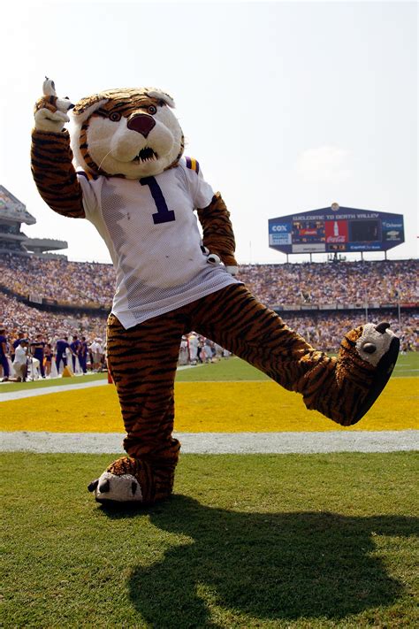 Represent Power Ranking The Mascots Of The Sec News Scores