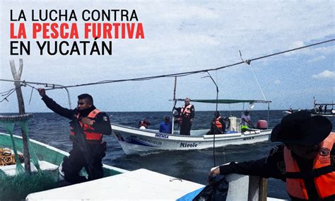 Detienen A Cinco Sujetos Por Pesca Furtiva En Puerto De Yucatán