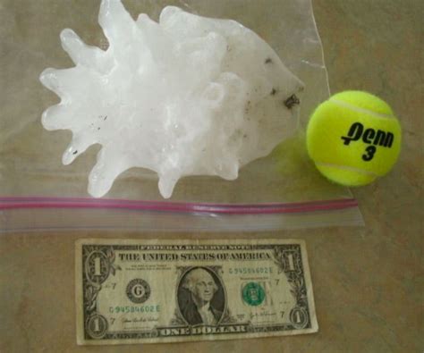 Belskis Blog Anniversary Of The Largest Hail Ever In The Us