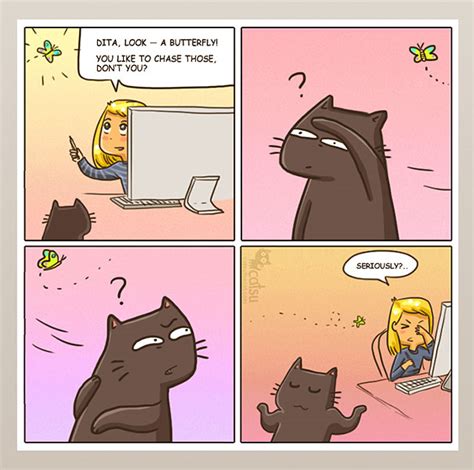 101 Comics That Purrfectly Capture Life With Cats Bored Panda
