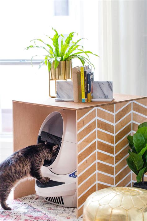 17 Clever Ways To Hide The Litter Box
