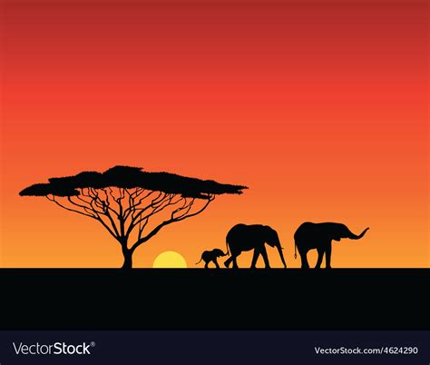 Elephants Silhouettes Sunset Royalty Free Vector Image