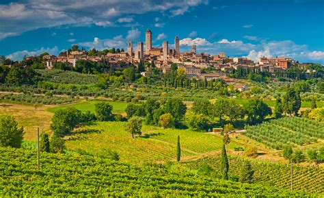 Top 10 Tuscan Winery Experiences Cellar Tours