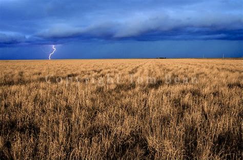 Great Plains In Colorado Lightning Storm Over Great Plains Grassland