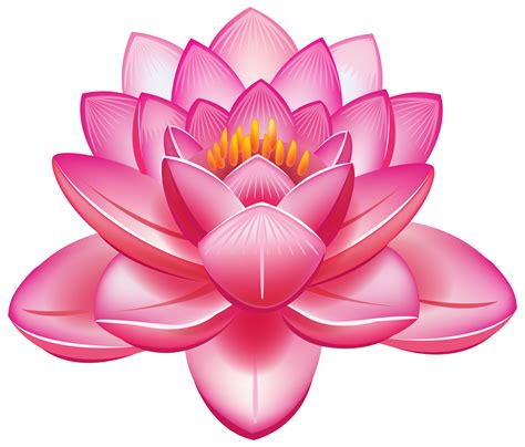Collection Of Png Lotus Flower Pluspng