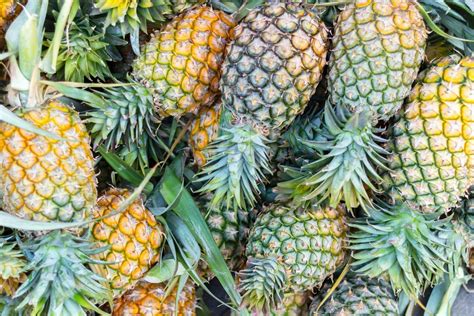 How To Tell If A Pineapple Is Ripe Lid And Ladle