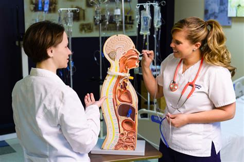 A bachelor's degree is likely to be necessary in order to maximize career opportunities. BSN vs ADN: Which degree should you earn to become an RN?