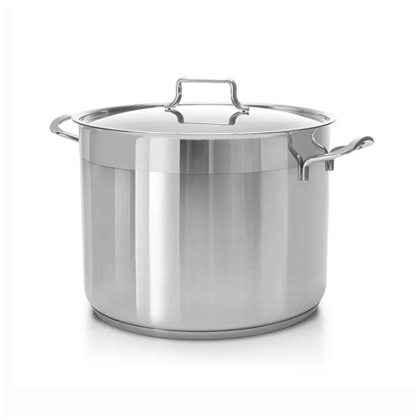 Ybm Home Hascevher 1810 Stainless Steel Stock Pot With Lid And Reviews Wayfair