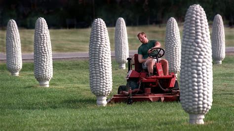 Ohio Things To Do Dublins Field Of Corn