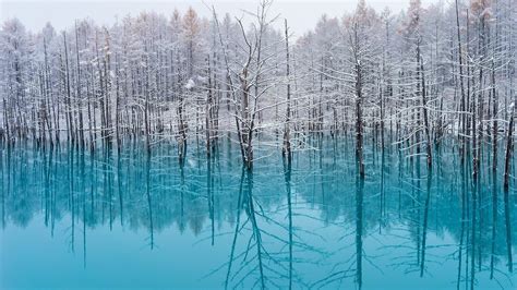 Lake Trees Nature Turquoise Water Snow Reflection Winter Japan