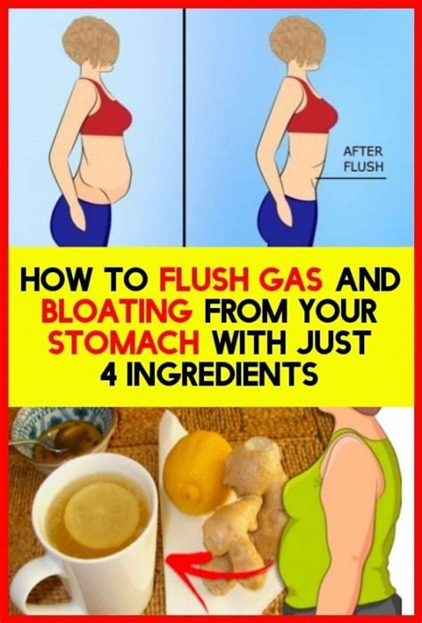 How To Flush Gas Out Of The Stomach With Just 4 Ingredients In 2020
