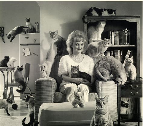 Cat Lady Love This Crazy Cat People Crazy Cats Cat Lady