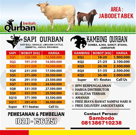 Kambing Qurban 2017, Jual Kambing & Sapi untuk Kurban Murah ~ Hewan Qurban