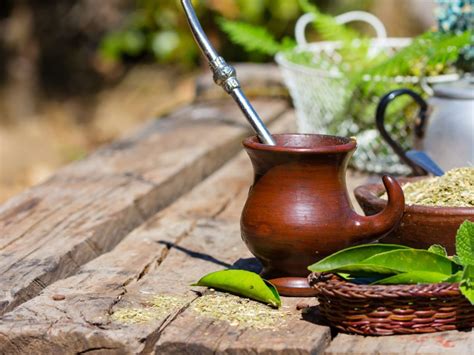 The Most Astounding Health Benefits Of Yerba Mate Health Cautions