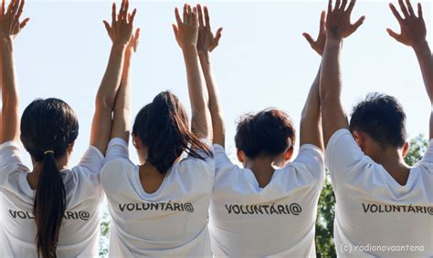 Voluntariado Para Jovens Durante O Ver O Em Montemor R Dio Nova Antena