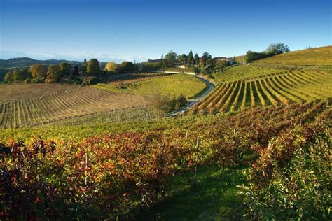 View On Vineyards Of Langhe Roero Monferrato Unesco World Heritage In