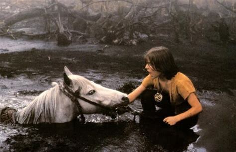 The Neverending Story 10 Animal Movies That Will Make You Cry Like A