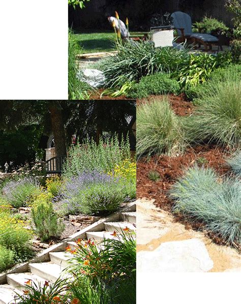 Xeriscaping Barrows Landscaping