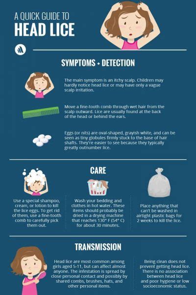 A Short Guide To Head Lice Daily Infographic