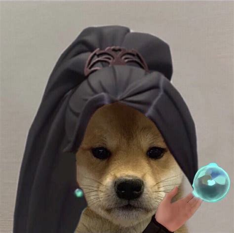 Doge Pfp Discord Cutes