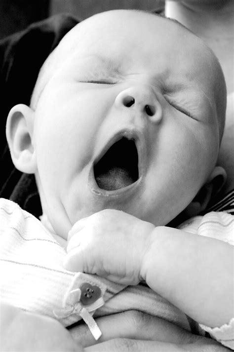 Baby Yawning By Richard Lack Redbubble
