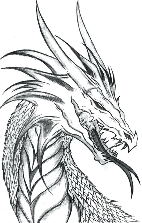 Realistic Coloring Pages Of Dragons At Free